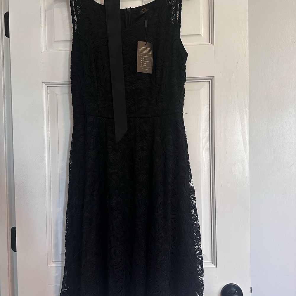 Chic Black Lace Mini Dress